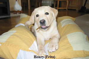 f-Henry-Feb.2003