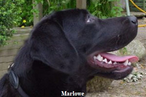 f-marlowe-a