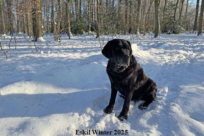 p-eskil-im-winter-2025
