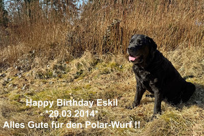 eskil-2025-febr-e